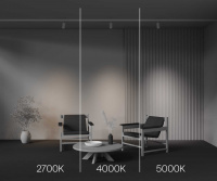 Трековый трехфазный светильник Maytoni Focus Led TR197-3-12WCCT-M-W