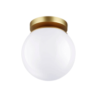Потолочный светильник Odeon Light 4247/1C