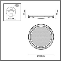 Потолочный светодиодный светильник Odeon Light Teno 4018/57CL