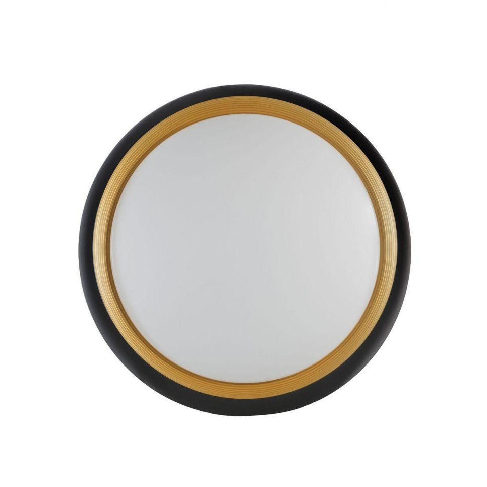 Потолочный светильник Lumina Deco Paneli LDC 8062-48W BK