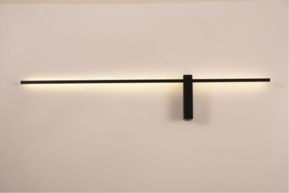 Настенный светильник Arte Lamp Phoenix A2025AP-1BK