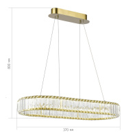 Подвесная люстра ST Luce Tivoli SL1622.323.01
