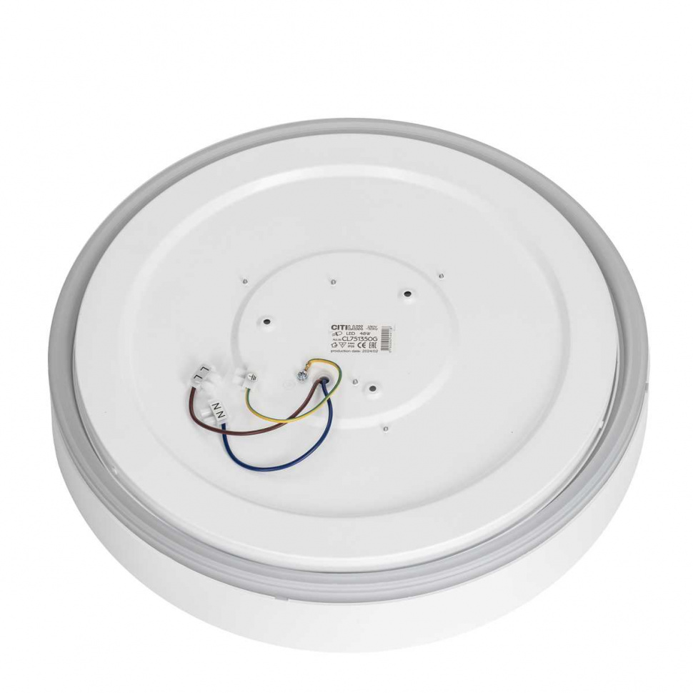 Потолочный светильник Citilux Boss CL751350G
