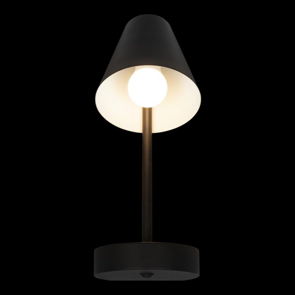 Бра Loft IT Shelf 10216/1W Black