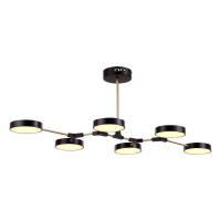 Потолочный светильник Evoluce Monta SLE6004-402-06