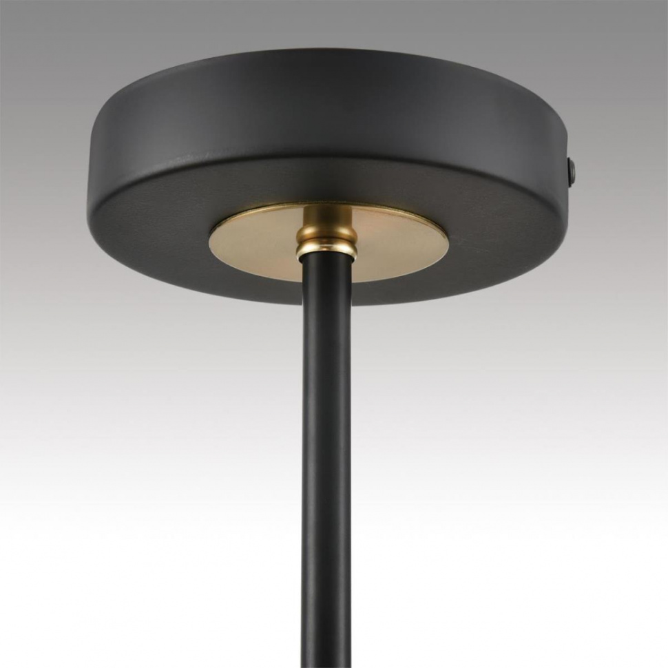 Люстра на штанге Lumion Comfi Vivana 8153/6C