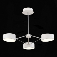 Потолочный светильник Evoluce Valle SLE6005-502-03