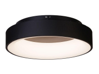 Потолочный светильник Myfar Shannon MR2193-1PL